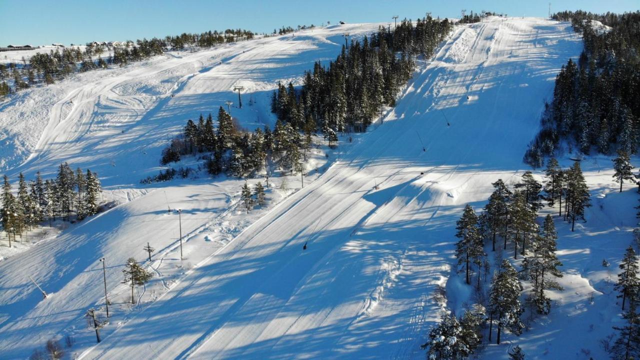 Ski Lodge Gautefall Екстер'єр фото